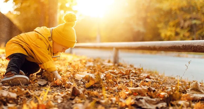 Warum Kinder die Natur brauchen — und was ein Waldspaziergang wirklich bewirkt